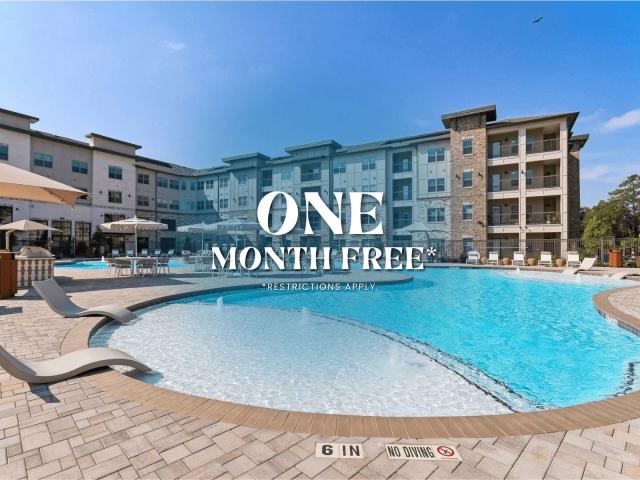 1 BR, 1 BA Apartment 14701 Vintage Preserve Parkway Unit 2210, Houston, TX 77070