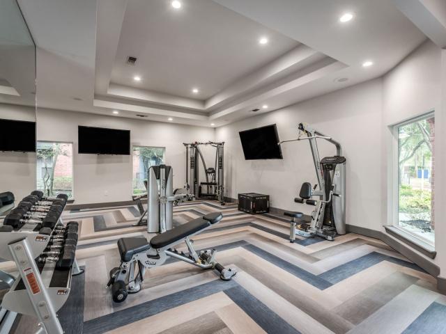 1 BR, 1 BA Apartment 1475 Sawdust Road Unit 9206, Spring, TX 77380