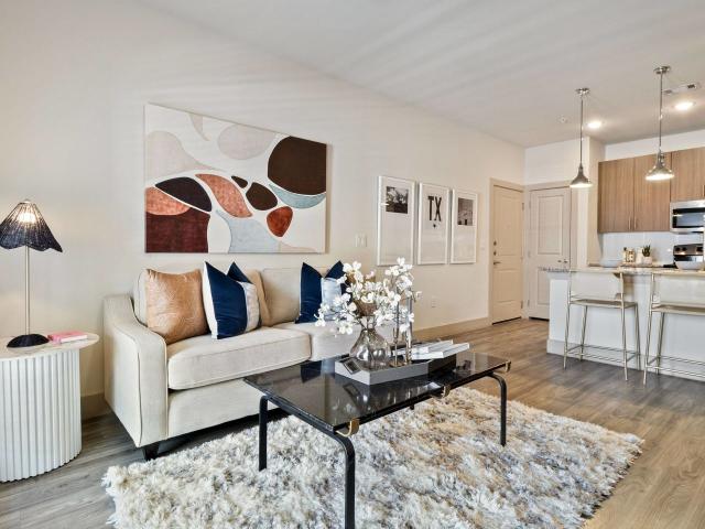 1 BR, 1 BA Apartment 1476 East McCarty Lane Unit 4304, San Marcos, TX 78666