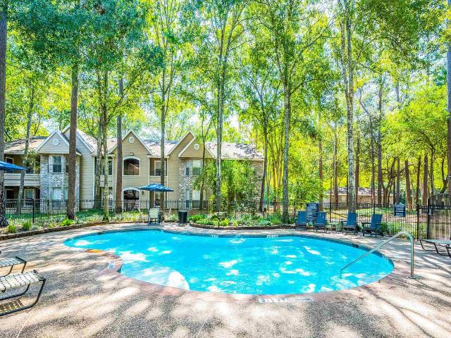 1 BR, 1 BA Apartment 1481 Sawdust Rd Unit 01 0634, Spring, TX 77380