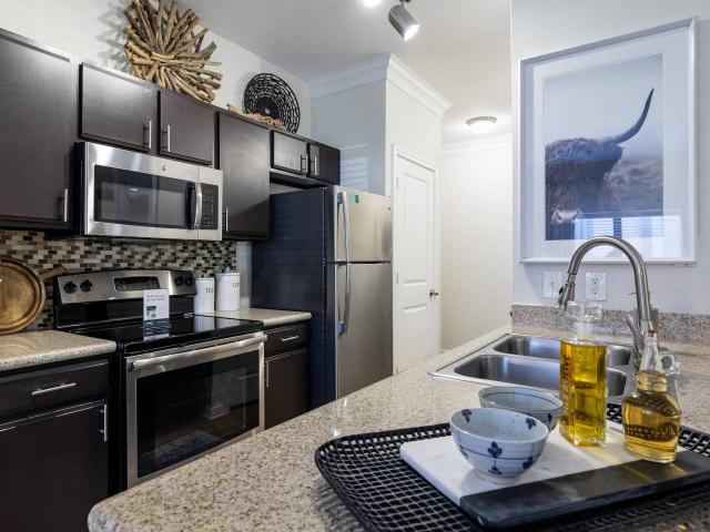 1 BR, 1 BA Apartment 14951 Bellows Falls Lane Unit 1033, Humble, TX 77396