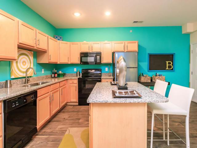 1 BR, 1 BA Apartment 1501 Brandonshire Ct Unit 1501 305, Greensboro, NC 27409