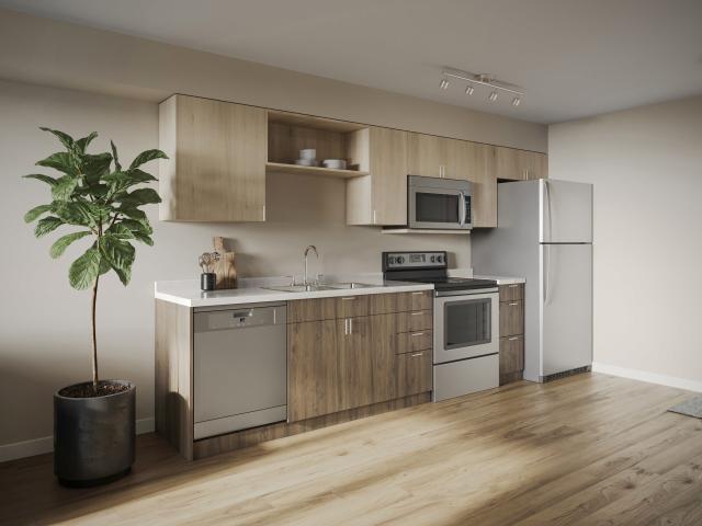 1 BR, 1 BA Apartment 15311 33rd Ave S Unit 317, Seattle, WA 98188