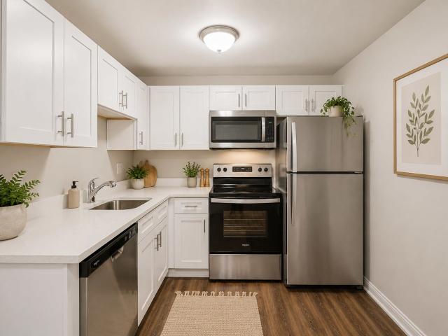 1 BR, 1 BA Apartment 1547 W Irving Park Rd Unit E 319, Itasca, IL 60143