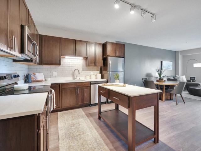 1 BR, 1 BA Apartment 1601 Harvest Lane Unit 229, Shakopee, MN 55379