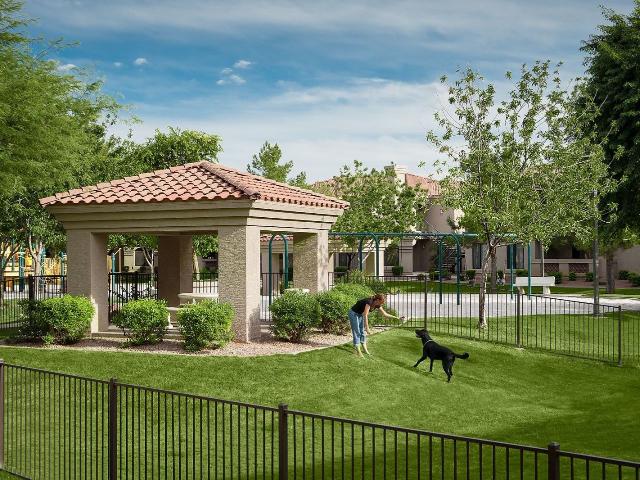 1 BR, 1 BA Apartment 16601 North 12th Street Unit 2072, Phoenix, AZ 85022