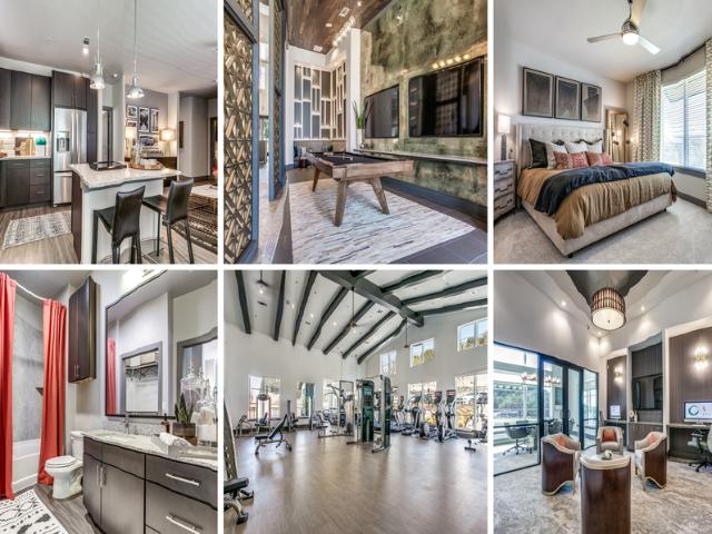 1 BR, 1 BA Apartment 1703 My Anns Hill, Stone Oak, TX 78258