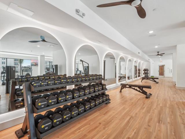 1 BR, 1 BA Apartment 1734 North Loop 1604 West Unit 3316, San Antonio, TX 78248
