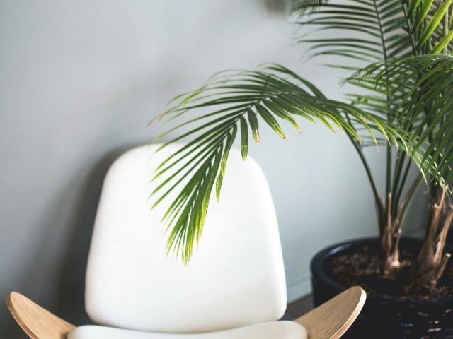 1 BR, 1 BA Apartment 17422 Derian Ave Unit 18119, Irvine, CA 92614