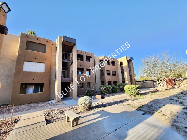 1 BR, 1 BA Apartment 1810 E Blacklidge Drive, Tucson, AZ 85719