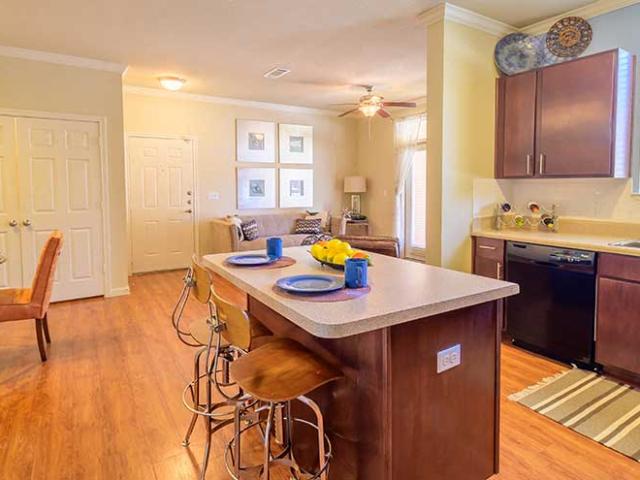 1 BR, 1 BA Apartment 1811 Medical Parkway Unit 435, San Marcos, TX 78666