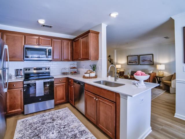 1 BR, 1 BA Apartment 1000 Avonlea Pl Unit 6203, Woodstock, GA 30189