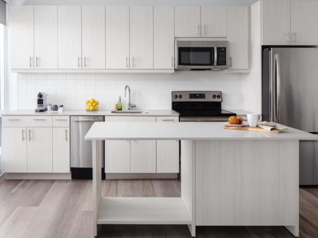 1 BR, 1 BA Apartment 1000 S Broad St Unit 316, Philadelphia, PA 19146