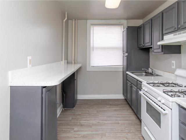 1 BR, 1 BA Apartment 1001 Arion Park Road Unit 247, Baltimore, MD 21229