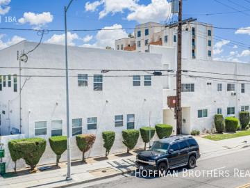 1 BR, 1 BA Apartment 1036 Normandie Ave, Los Angeles, CA 90006