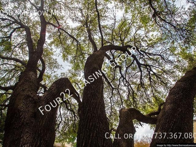 1 BR, 1 BA Apartment 10507 Mellow Meadow Dr, Austin, TX 78750