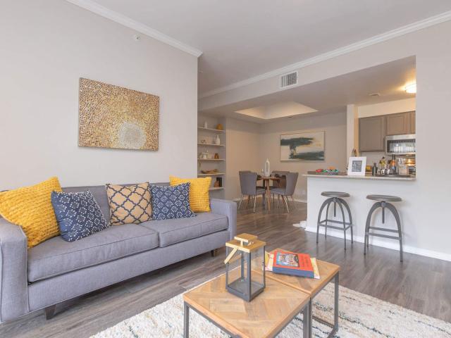 1 BR, 1 BA Apartment 10800 State Highway 151 Unit 236, San Antonio, TX 78251