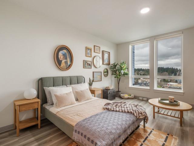 1 BR, 1 BA Apartment 11057 8th Avenue Northeast Unit 215IQ, Seattle, WA 98125
