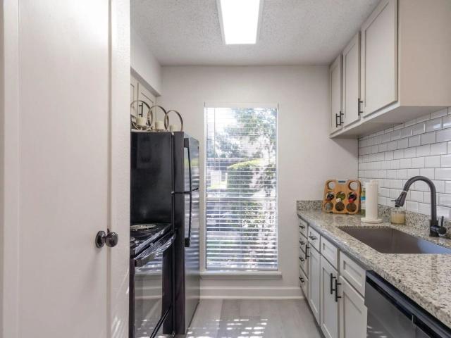 1 BR, 1 BA Apartment 1110 El Camino Village Dr Unit 54 3421, Houston, TX 77058