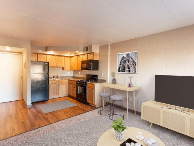1 BR, 1 BA Apartment 111 E 7th Street Unit 1010, Sioux Falls, SD 57104