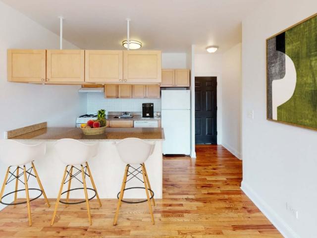 1 BR, 1 BA Apartment 1120 1126 East 47th Street Unit D6, Chicago, IL 60653