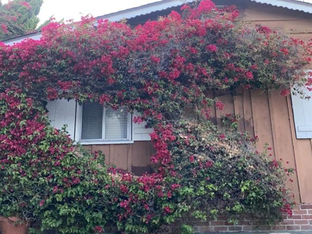 1 BR, 1 BA Apartment 11317 1/2 Iowa Ave, Los Angeles, CA 90025