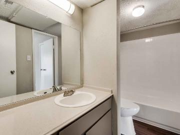 1 BR, 1 BA Apartment 11500 Green Plaza Dr Unit 717, Houston, TX 77038