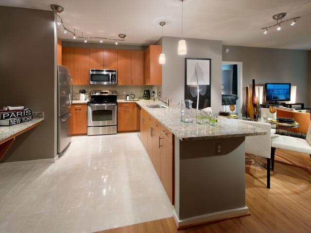 1 BR, 1 BA Apartment 1150 Ripley Street Unit 01718, Silver Spring, MD 20910