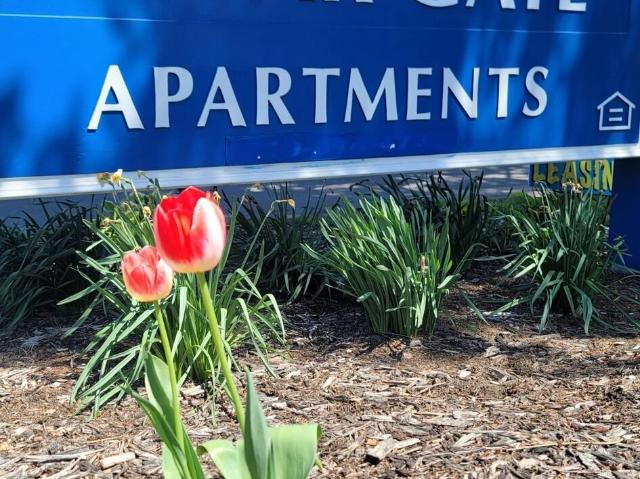 1 BR, 1 BA Apartment 115 Cedargate Court, Michigan City, IN 46360