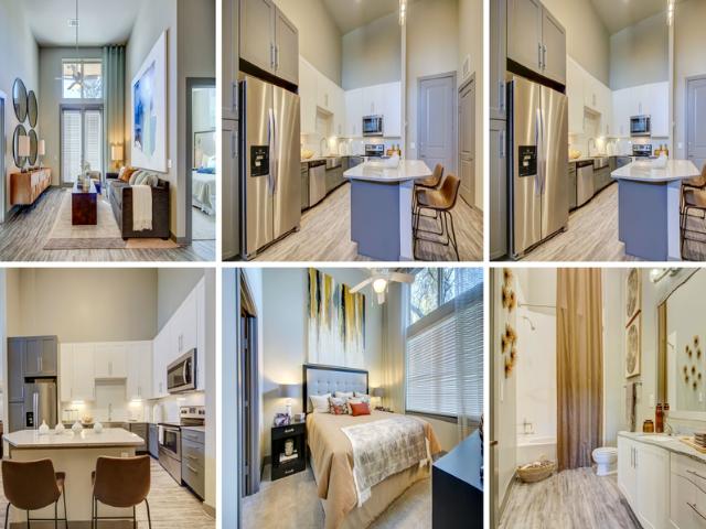 1 BR, 1 BA Apartment 11655 Preston Rd, Frisco, TX 75034