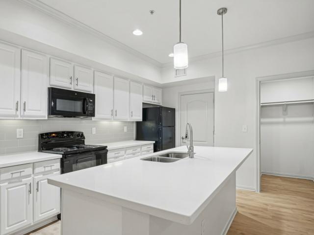 1 BR, 1 BA Apartment 11925 Jones Rd Unit 4203, Houston, TX 77070