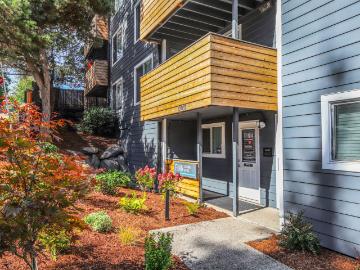 1 BR, 1 BA Apartment 12002 Roosevelt Way Northeast Unit B 304, Seattle, WA 98125