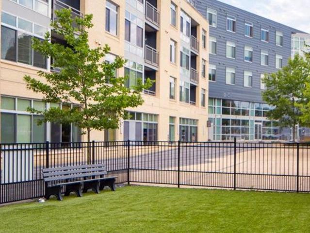 1 BR, 1 BA Apartment 1201 West Mount Royal Avenue Unit 310, Baltimore, MD 21217