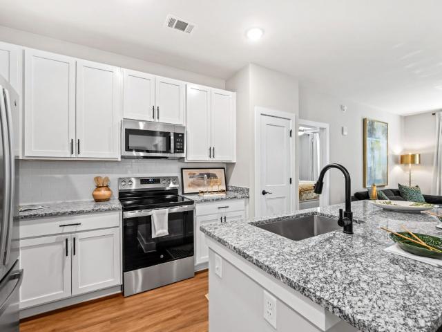 1 BR, 1 BA Apartment 120 Rockberry Way Unit 305 311, Arden, NC 28704