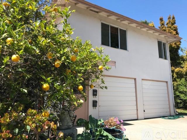 1 BR, 1 BA Apartment 120 South Morrissey Avenue, Unit 120 1/2 over garage ADU, Santa Cruz, CA 95062
