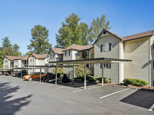 1 BR, 1 BA Apartment 12200 SE McLoughlin Blvd Unit 21 203, Portland, OR 97222