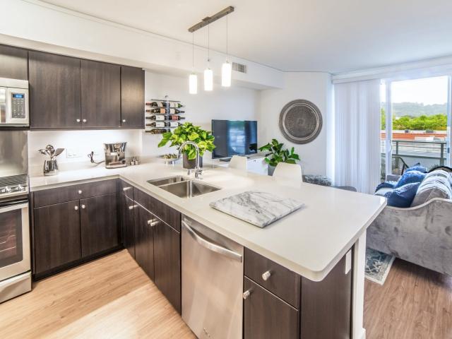 1 BR, 1 BA Apartment 1250 Arroyo Way Unit 506, Walnut Creek, CA 94596