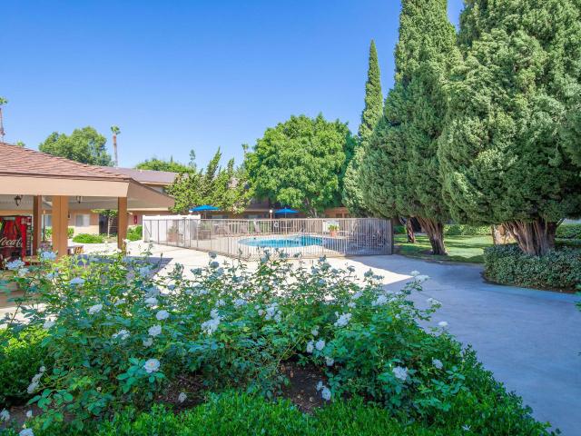 1 BR, 1 BA Apartment 125 N Syracuse St Unit 32, Anaheim, CA 92801