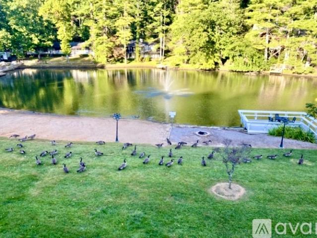 1 BR, 1 BA Apartment 130 Old Mill Rd, Unit 203, Flat Rock, NC 28731