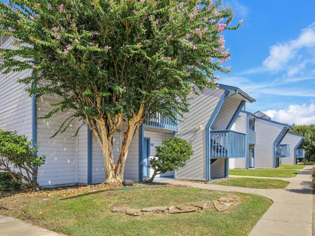 1 BR, 1 BA Apartment 13151 WALDEN RD, MONTGOMERY, TX 77356