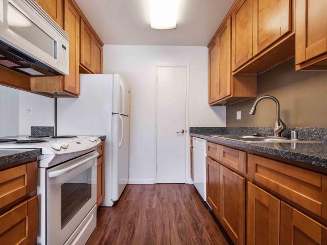 1 BR, 1 BA Apartment 1324 S Winchester Blvd Unit 141, San Jose, CA 95128