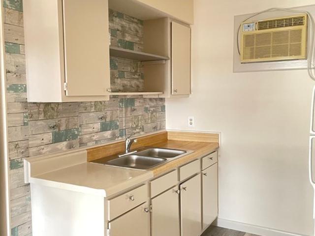 1 BR, 1 BA Apartment 1326 S St Marys St, Unit 8, San Antonio, TX 78210