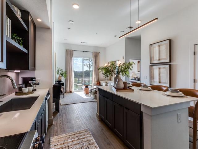 1 BR, 1 BA Apartment 13400 Bee Cave Parkway Unit 5207, Austin, TX 78738
