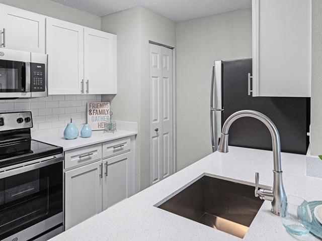 1 BR, 1 BA Apartment 13675 Lake Vining Drive Unit 05102, Orlando, FL 32821