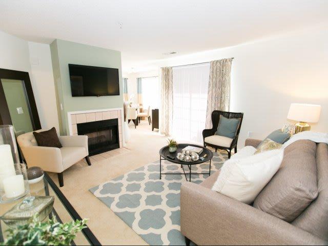 1 BR, 1 BA Apartment 2404 Ash Grove Ln Unit 201, Odenton, MD 21113