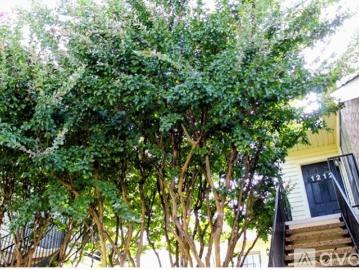 1 BR, 1 BA Apartment 2428 Forest Brook Lane, Unit 1212, Arlington, TX 76006