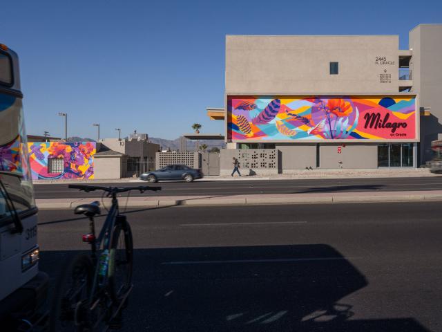 1 BR, 1 BA Apartment 2445 N Oracle Rd Unit 9413, Tucson, AZ 85705
