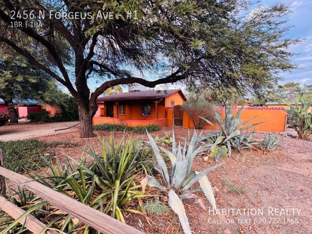 1 BR, 1 BA Apartment 2456 N Forgeus Ave, Tucson, AZ 85716