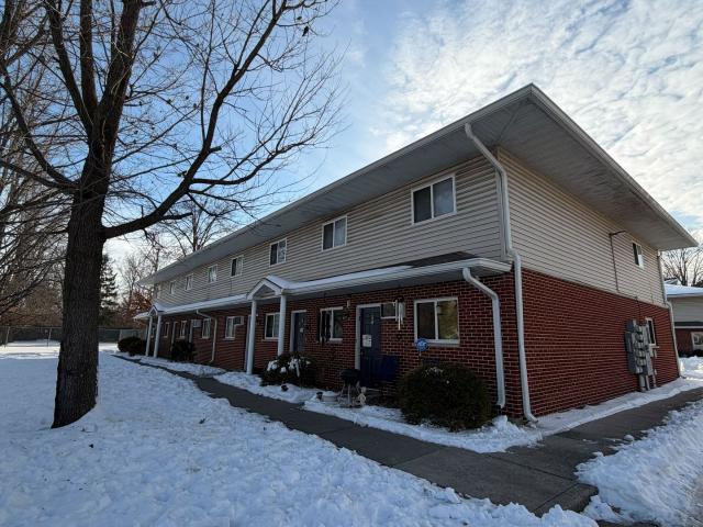 1 BR, 1 BA Apartment 250 S Lewis Ln, Carbondale, IL 62901