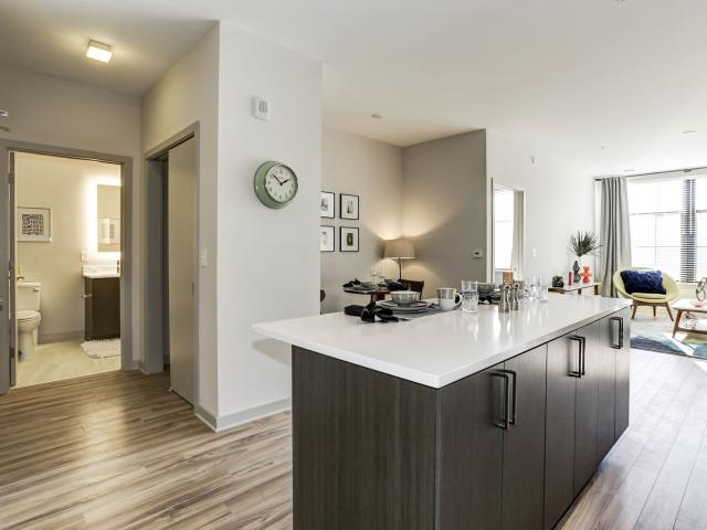 1 BR, 1 BA Apartment 255 N Washington St Unit 501, Rockville, MD 20850